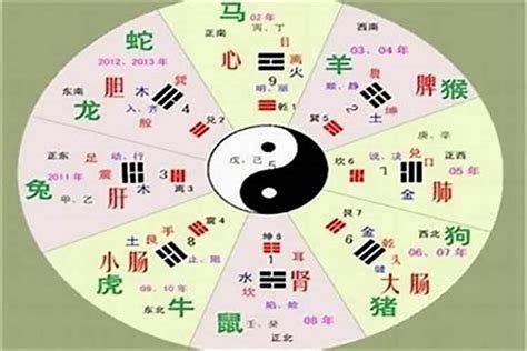 儒五行|儒字的五行属性